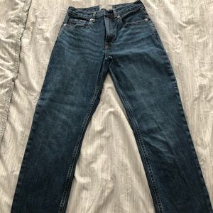 Everlane Cheeky Jean